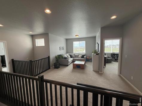 709 Hillspire Drive Windsor CO 80550