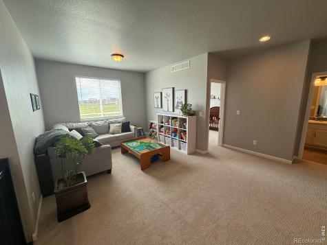 709 Hillspire Drive Windsor CO 80550