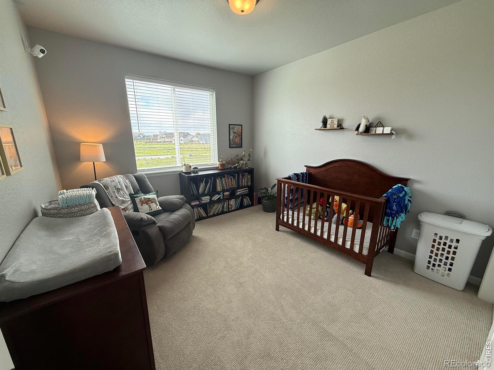 709 Hillspire Drive Windsor CO 80550