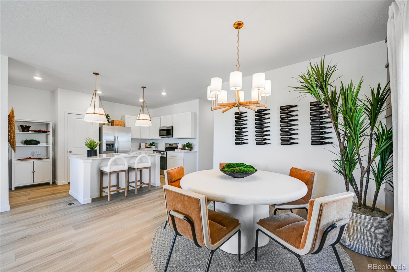6186 Drum Place Loveland CO 80538