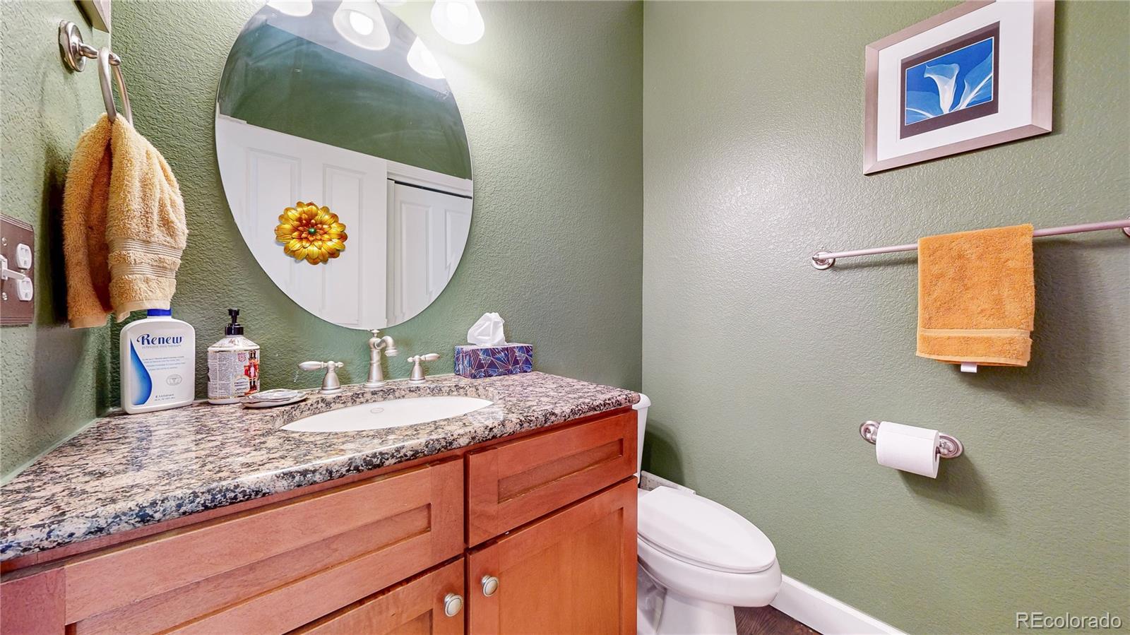 1431 Marion Street Georgetown CO 80444