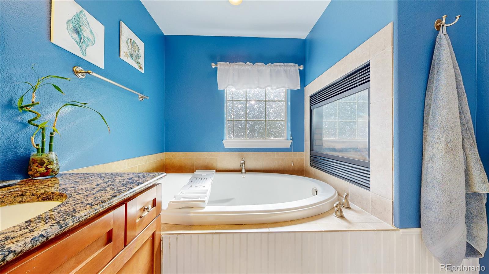 1431 Marion Street Georgetown CO 80444