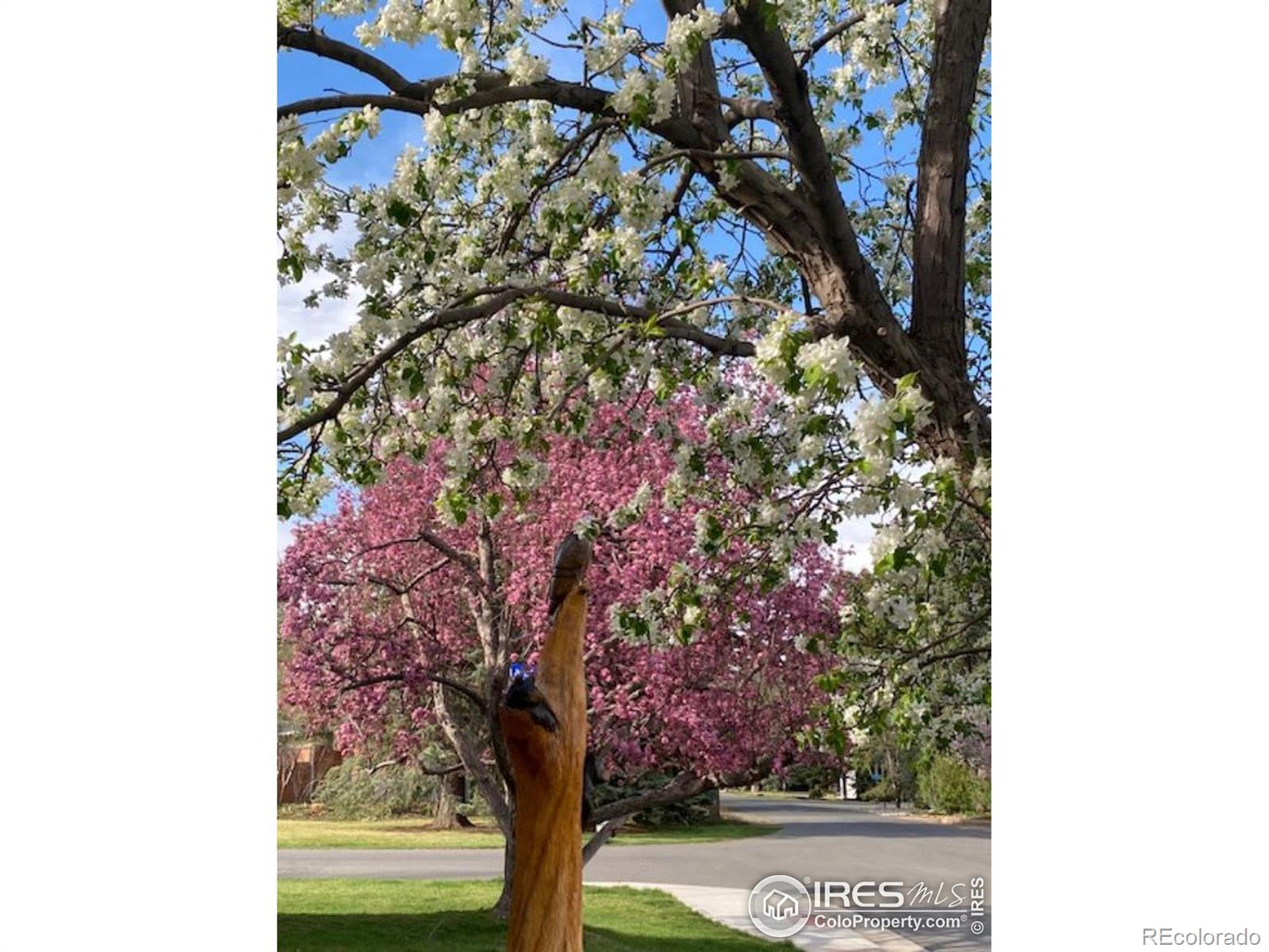 3255 20th Street Boulder CO 80304