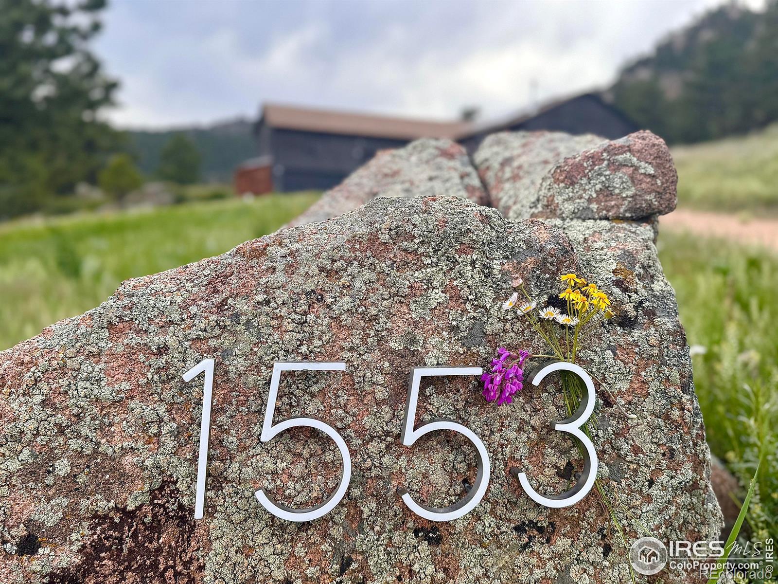 1553 Rowell Drive Lyons CO 80540