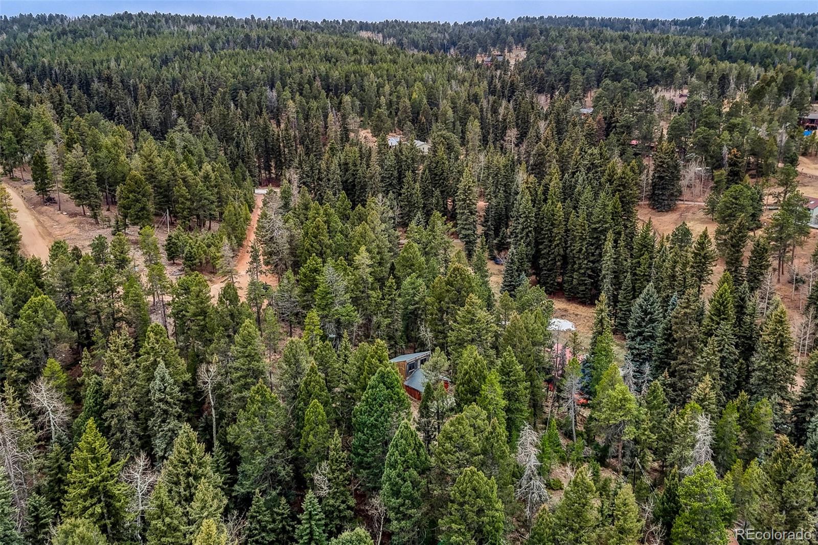 12096 Elk Trail Road Conifer CO 80433