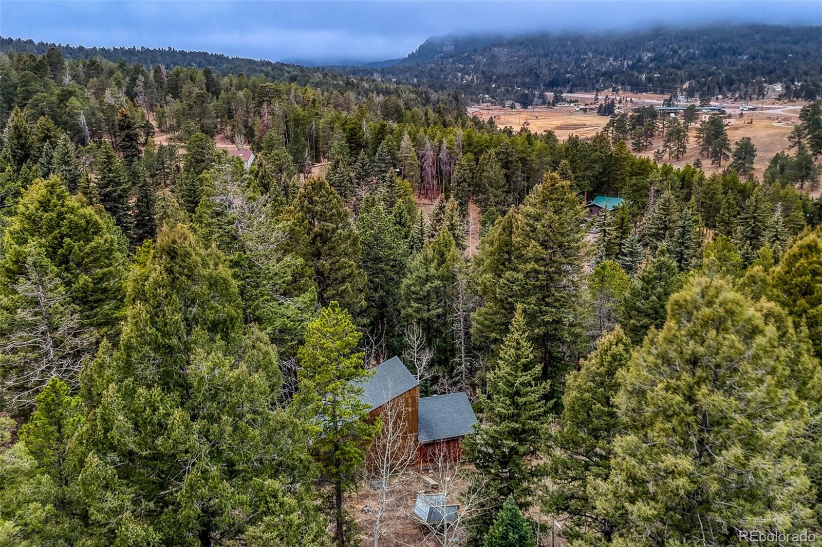 12096 Elk Trail Road Conifer CO 80433
