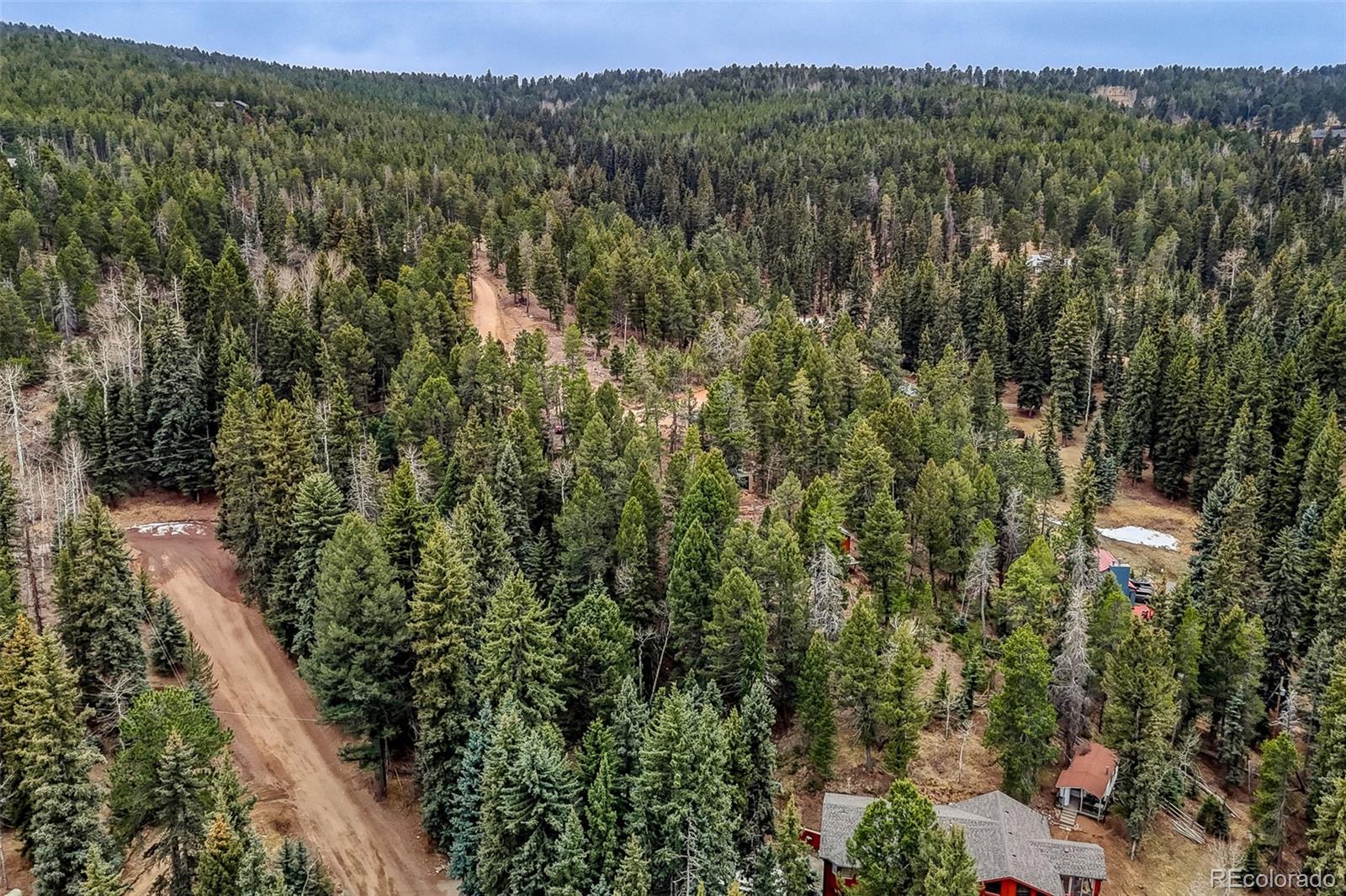 12096 Elk Trail Road Conifer CO 80433