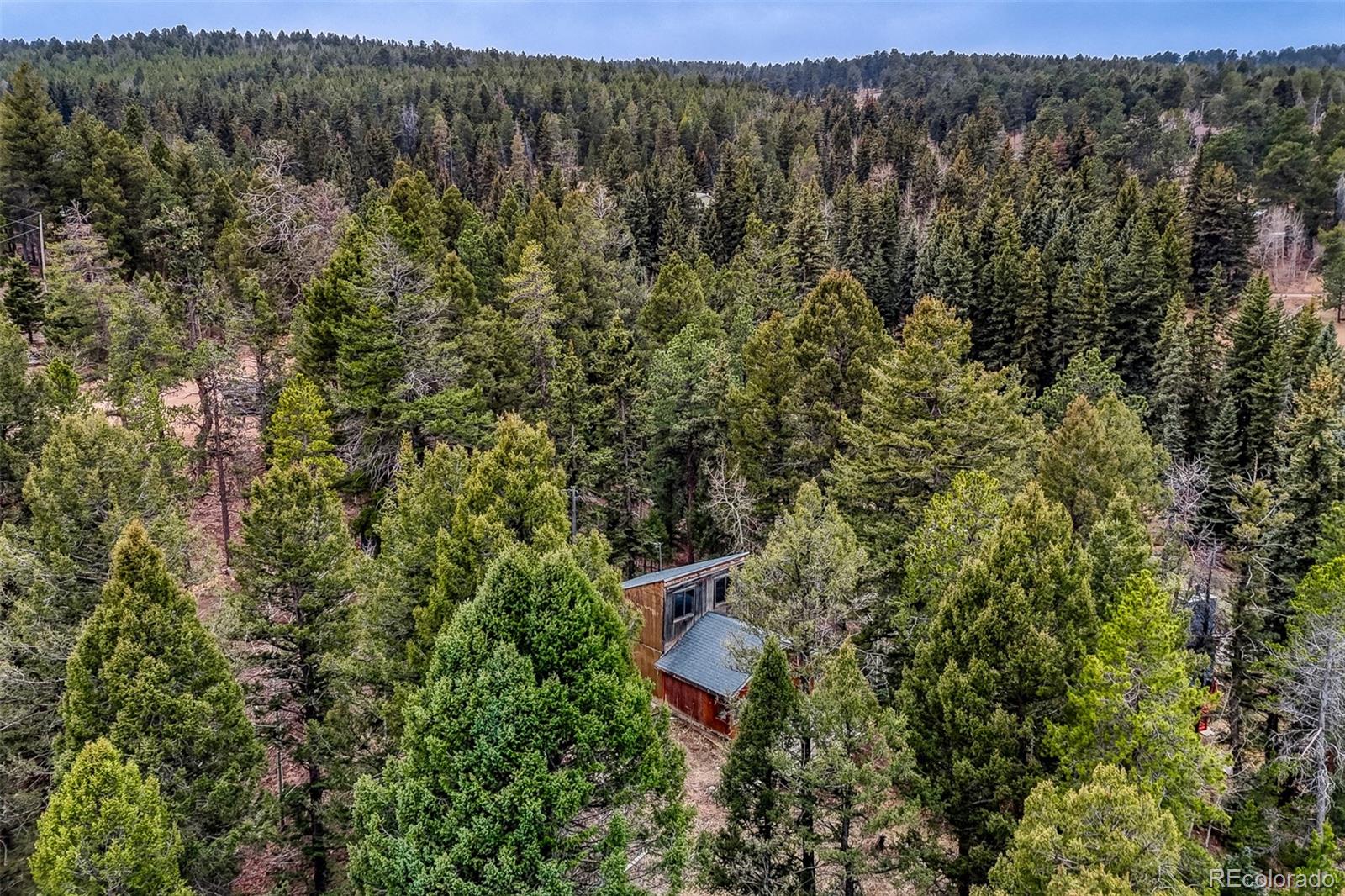 12096 Elk Trail Road Conifer CO 80433