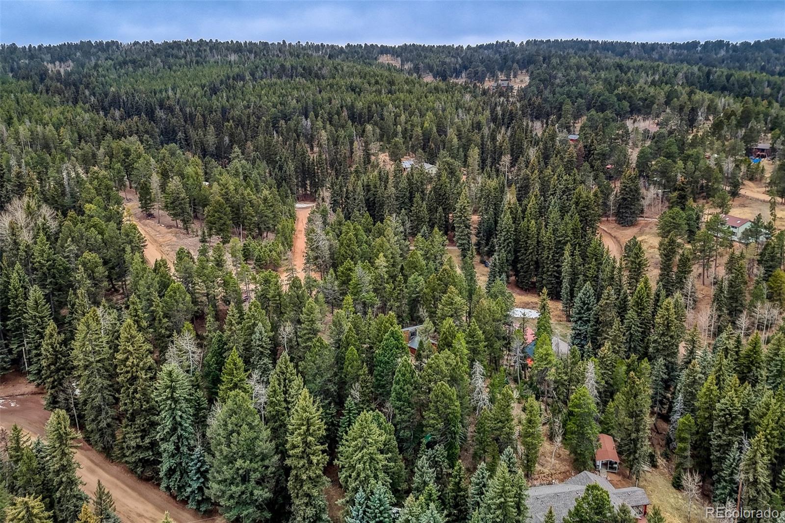 12096 Elk Trail Road Conifer CO 80433