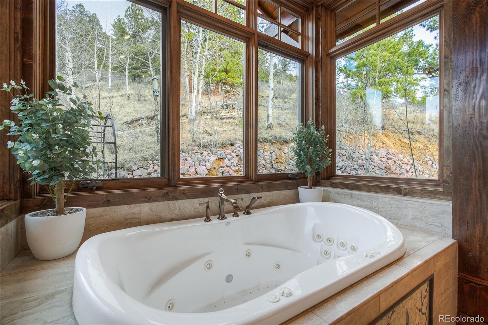 228 Bear Drive Guffey CO 80820