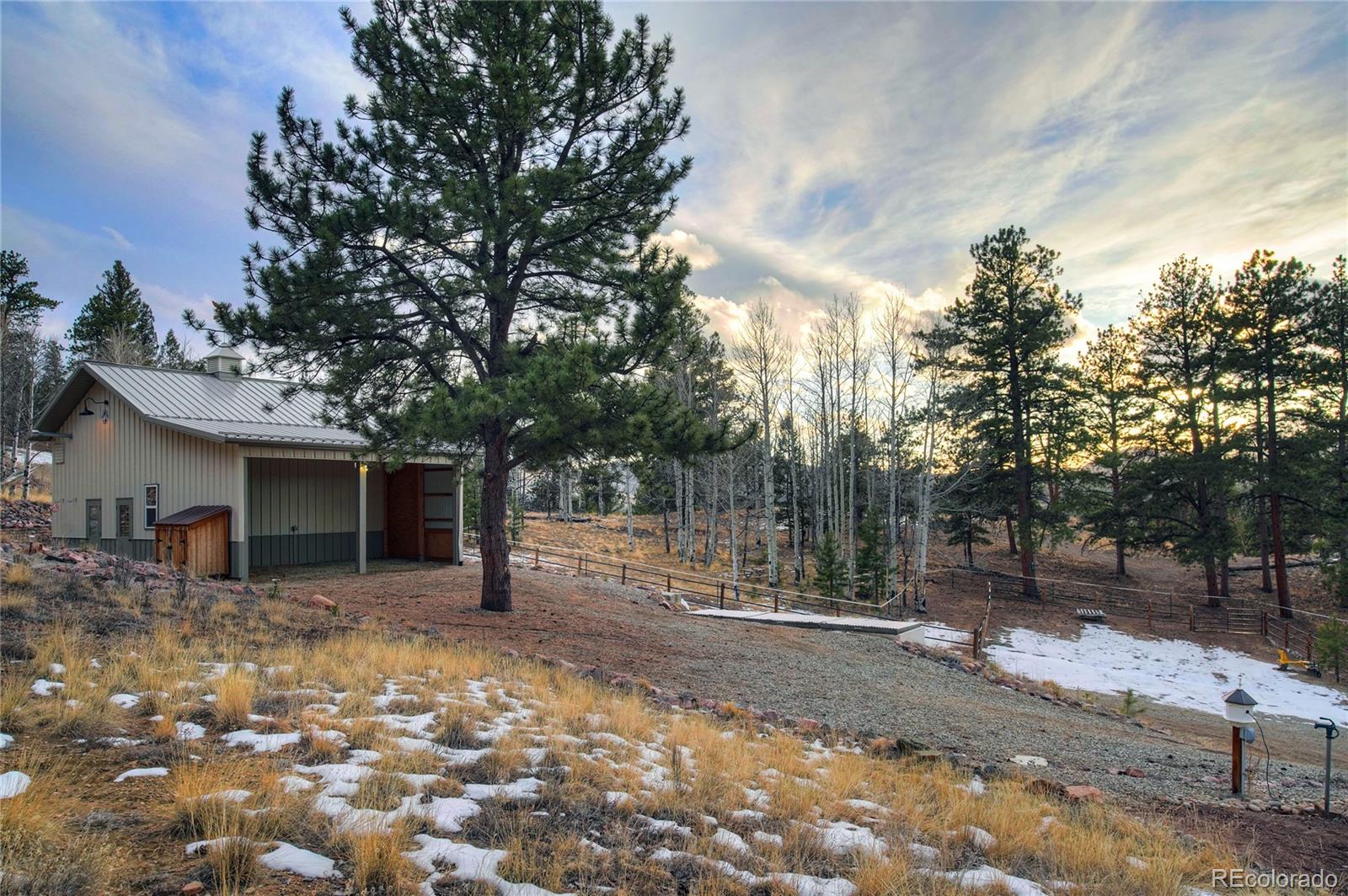 228 Bear Drive Guffey CO 80820
