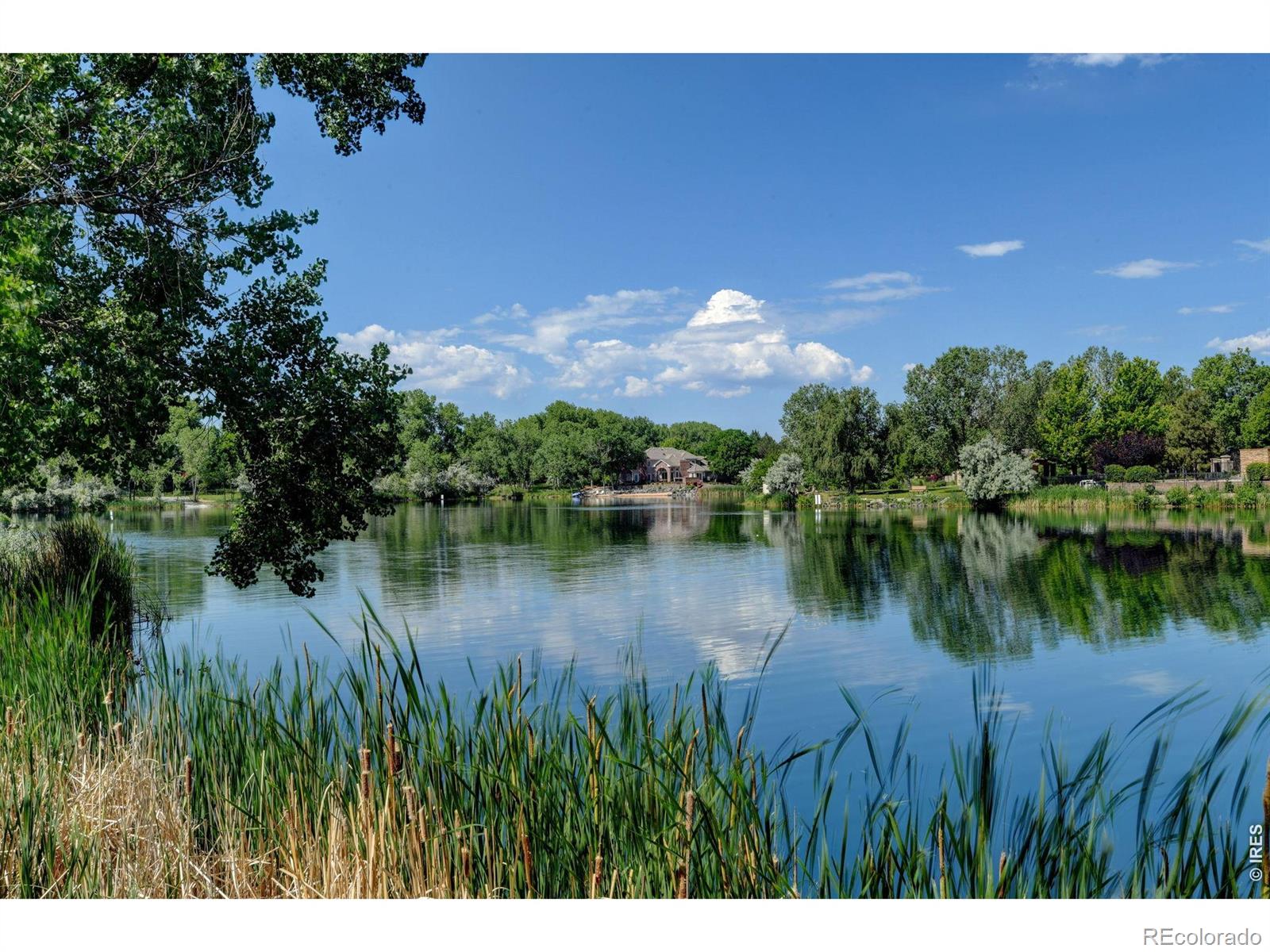 61 Blue Heron Drive Thornton CO 80241
