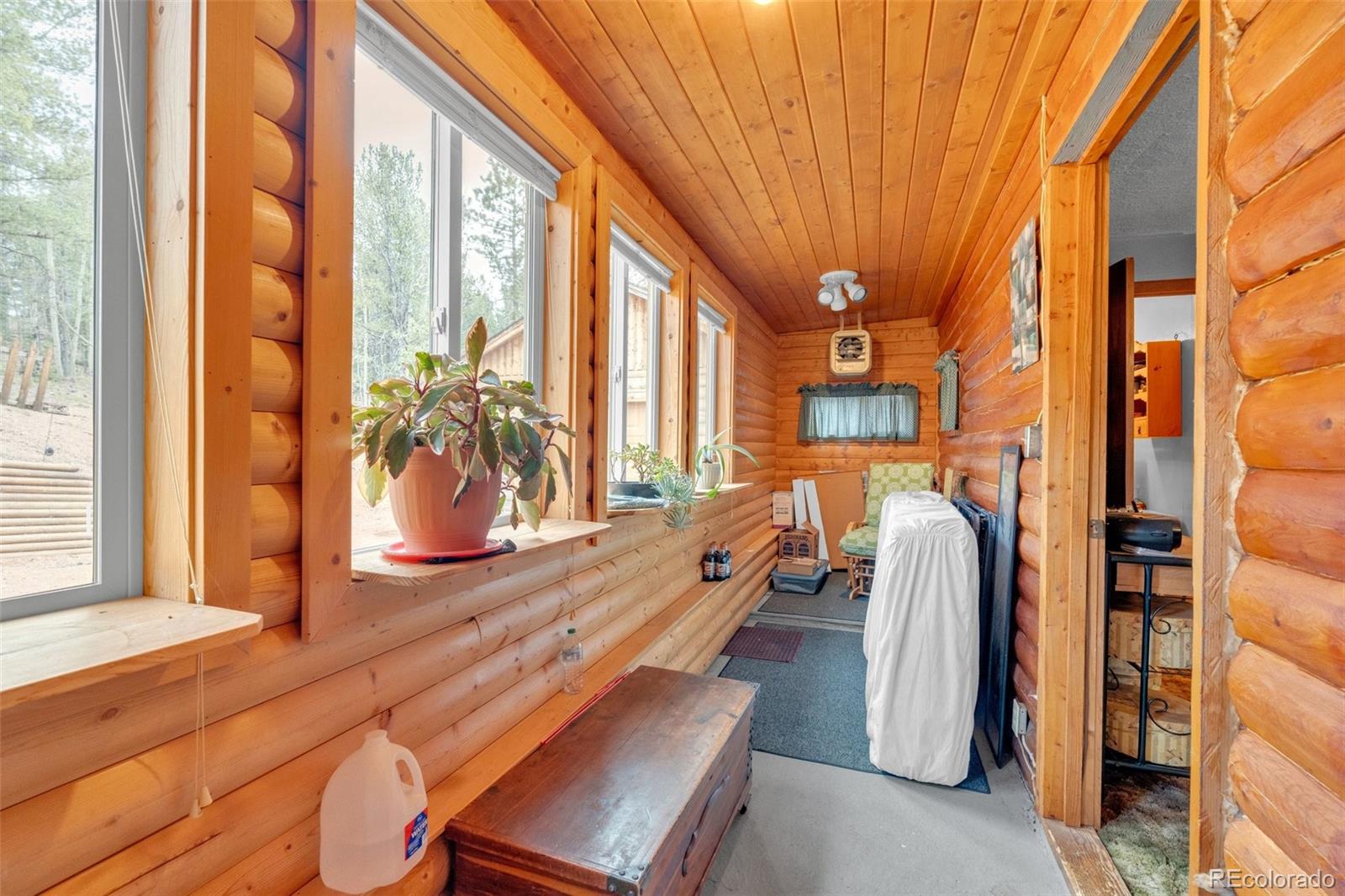 847 Timber Ridge Road Divide CO 80814