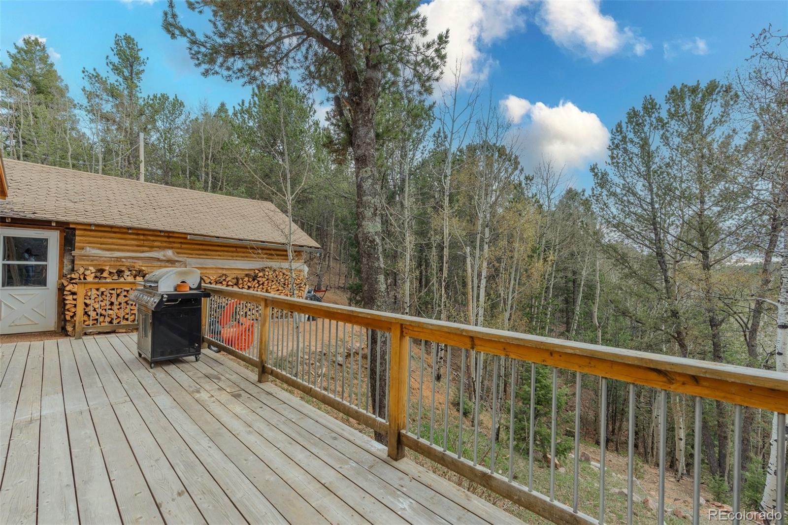 847 Timber Ridge Road Divide CO 80814