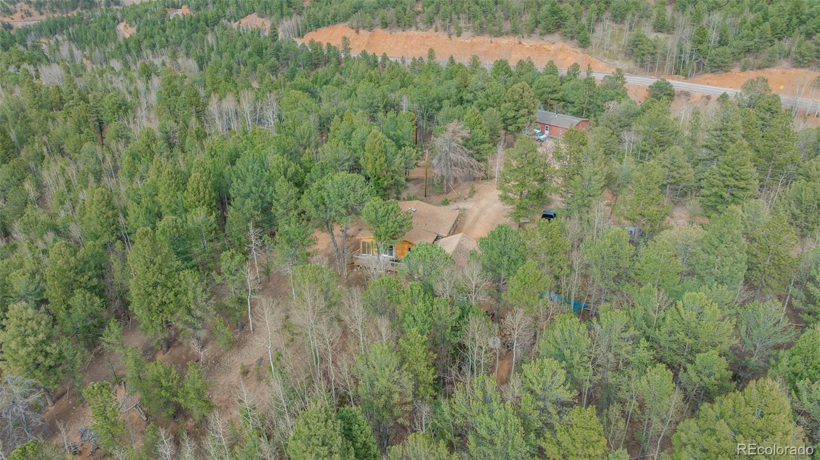 847 Timber Ridge Road Divide CO 80814