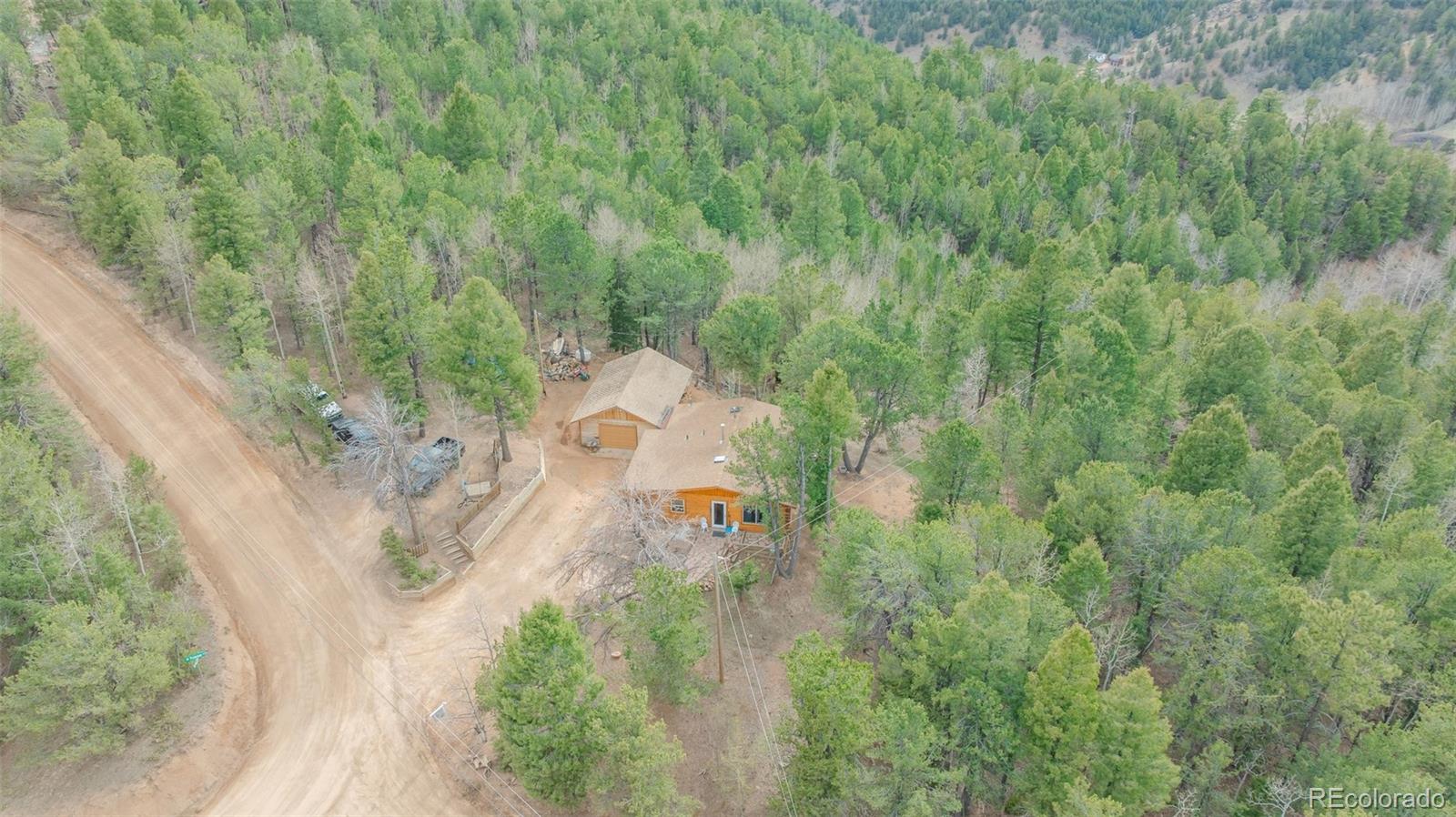 847 Timber Ridge Road Divide CO 80814