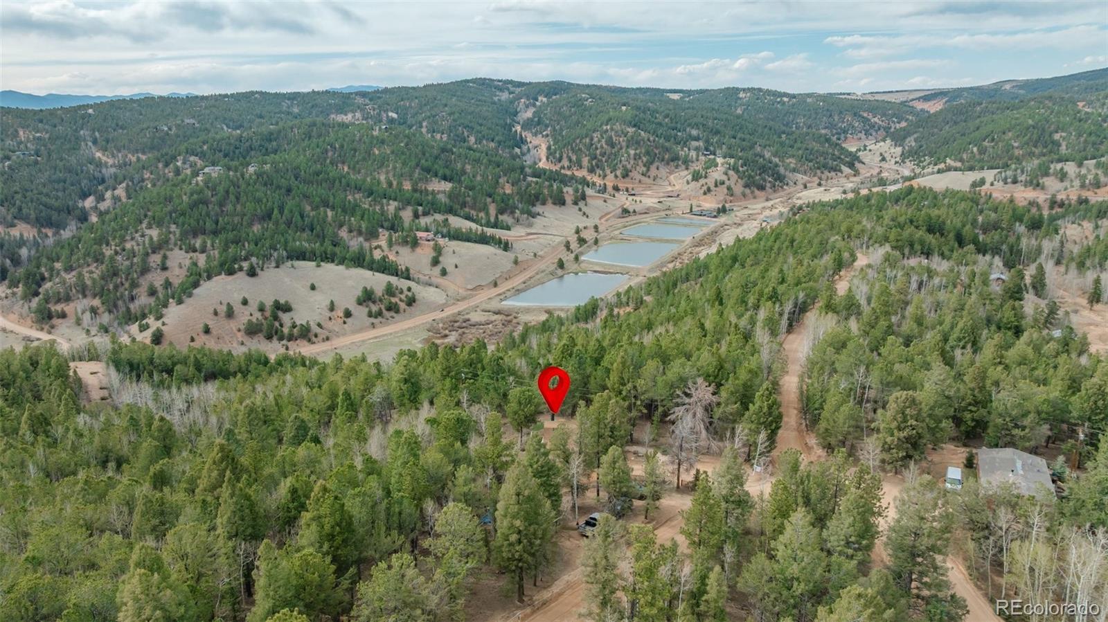 847 Timber Ridge Road Divide CO 80814