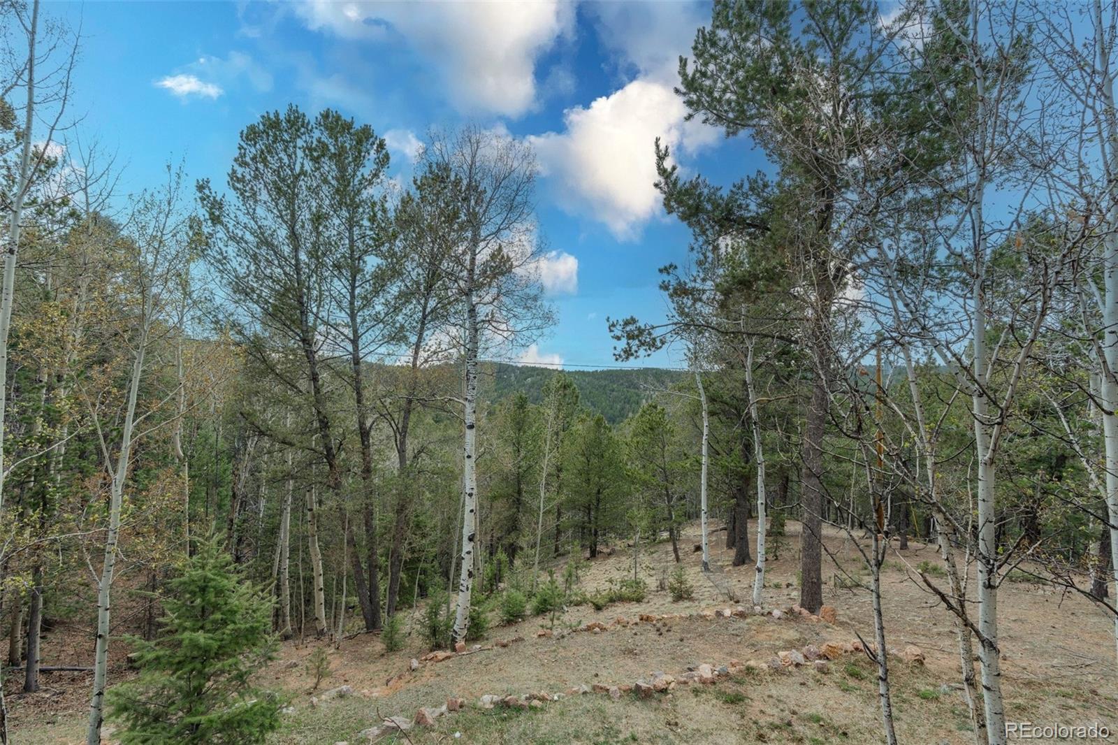 847 Timber Ridge Road Divide CO 80814