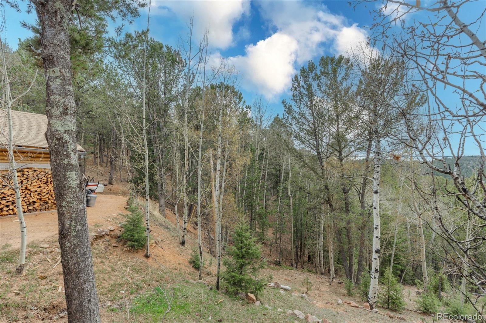847 Timber Ridge Road Divide CO 80814