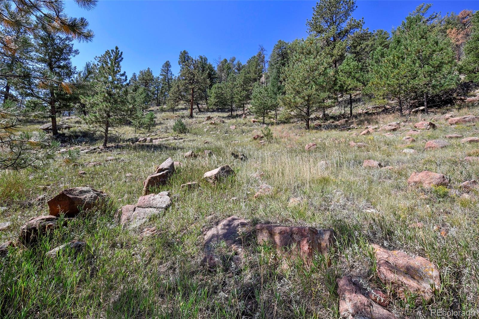 79 Ranch View Drive Florissant CO 80816