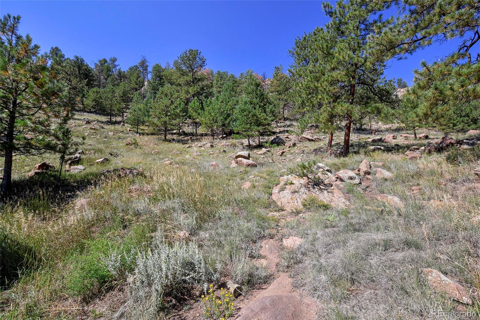 79 Ranch View Drive Florissant CO 80816