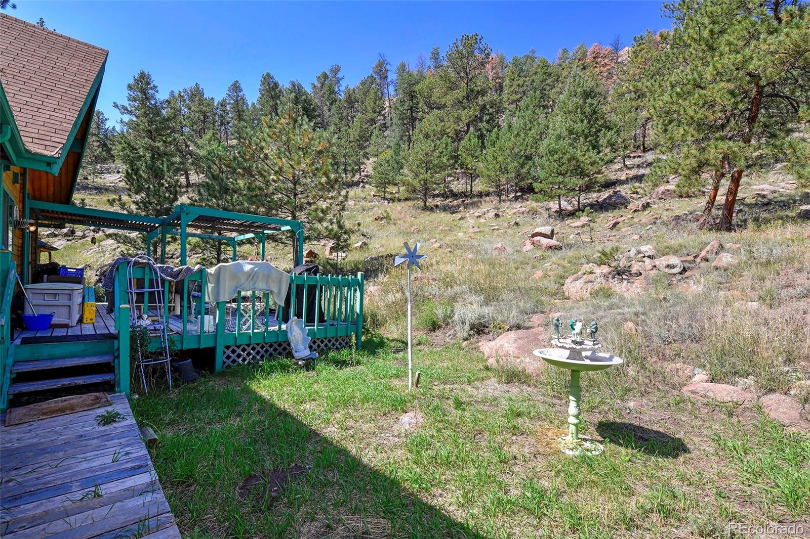 79 Ranch View Drive Florissant CO 80816