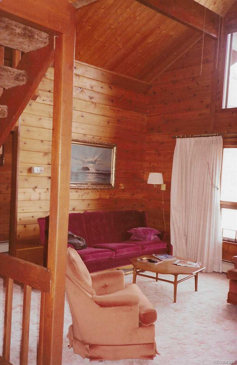 79 Ranch View Drive Florissant CO 80816
