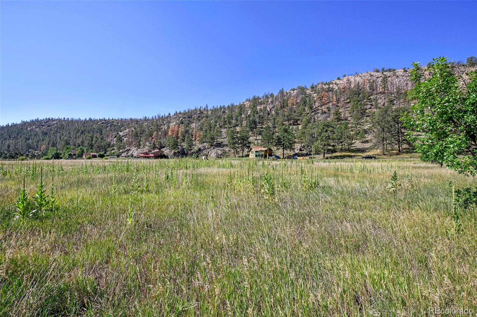 79 Ranch View Drive Florissant CO 80816