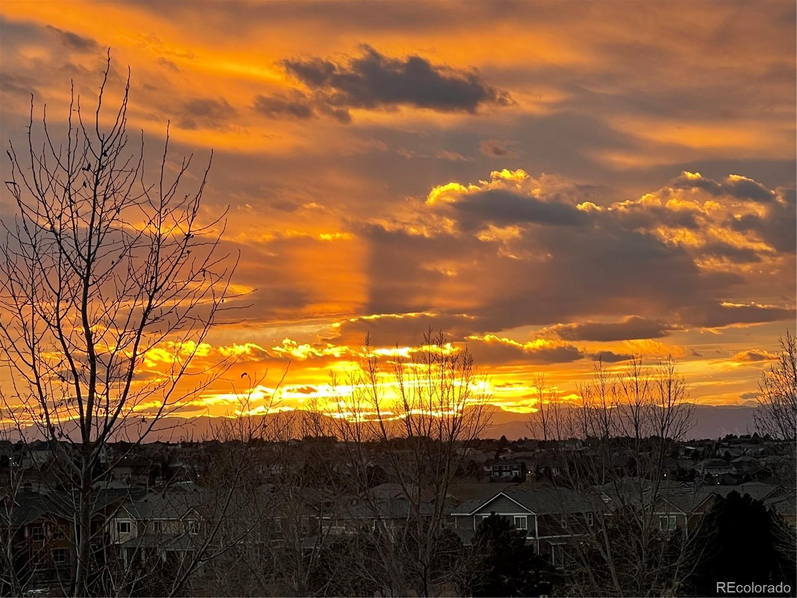 6959 S Buchanan Street Aurora CO 80016