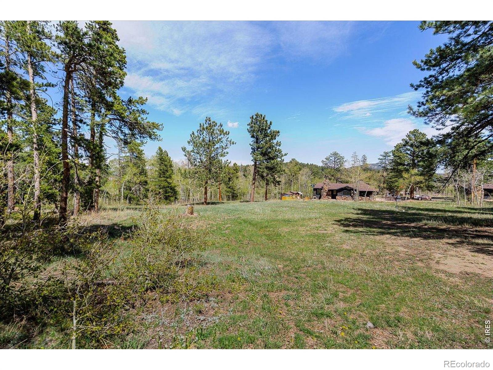 104 County Road 90 Allenspark CO 80510