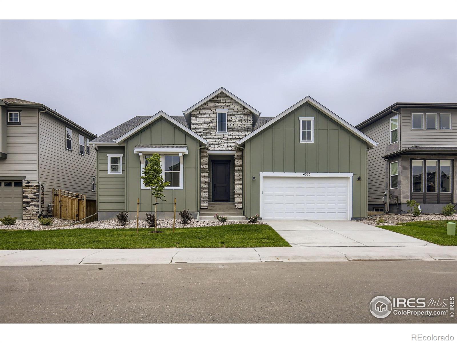 4383 Shivaree Street Timnath CO 80547