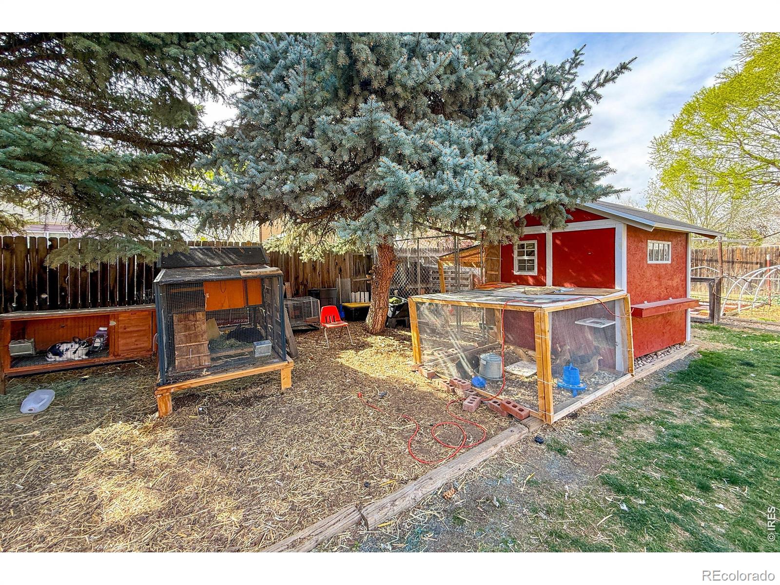 2109 Daley Drive Longmont CO 80501