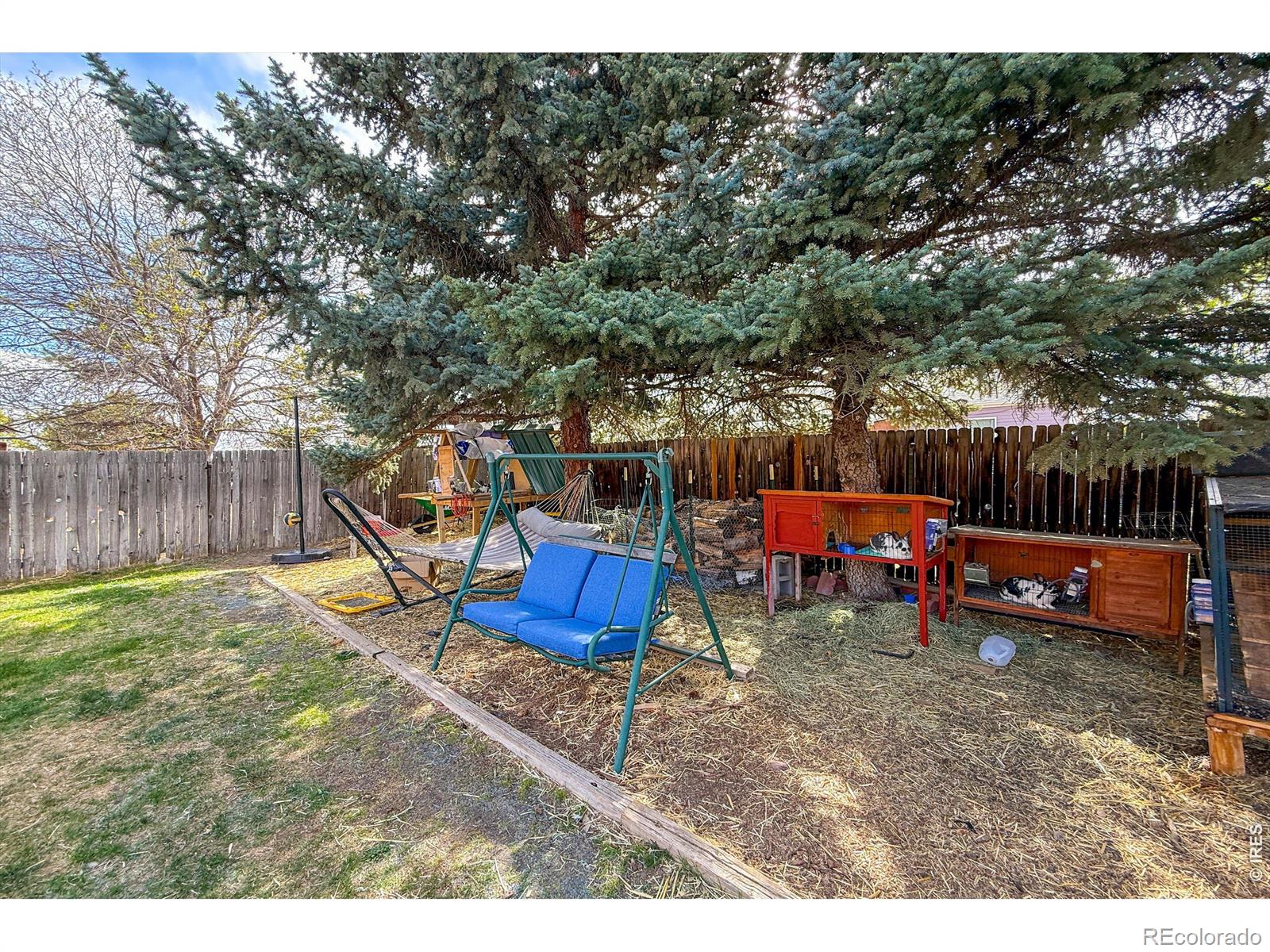 2109 Daley Drive Longmont CO 80501