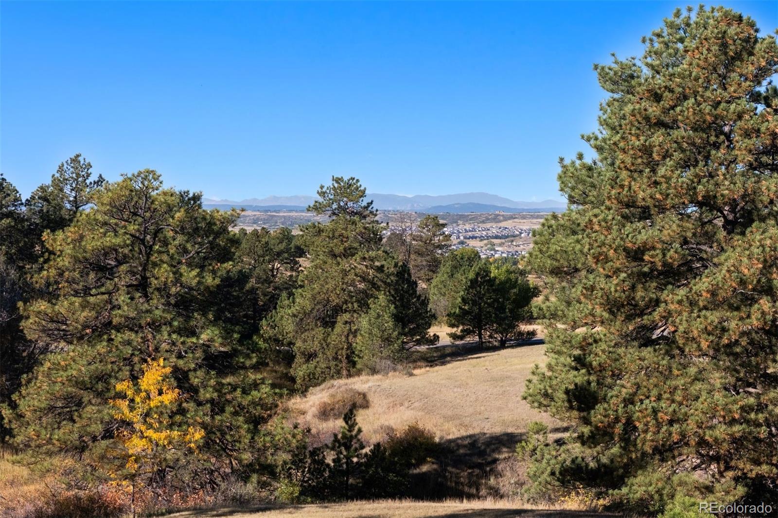8245 N Sunburst Trail Parker CO 80134