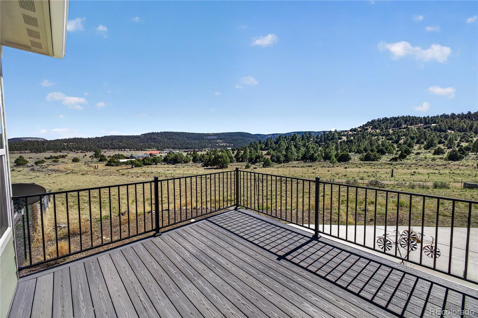 10 Bobcat Drive Antonito CO 81120