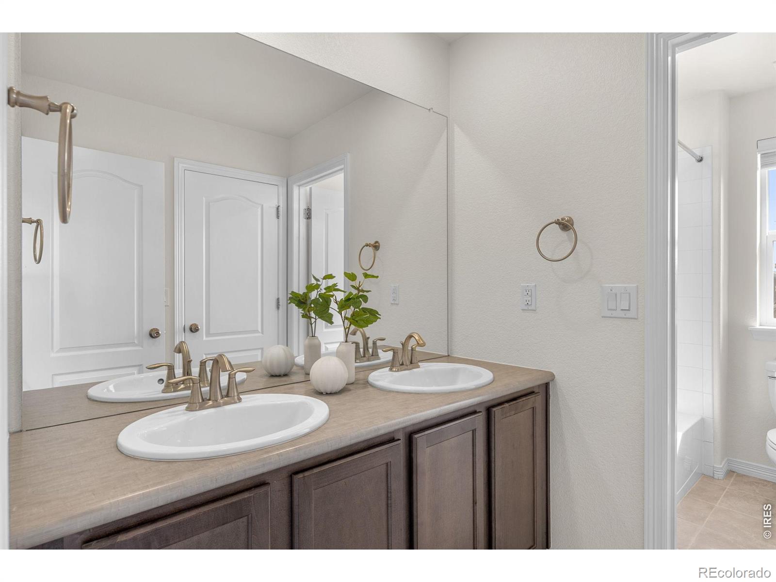 2335 Provenance Street Longmont CO 80504