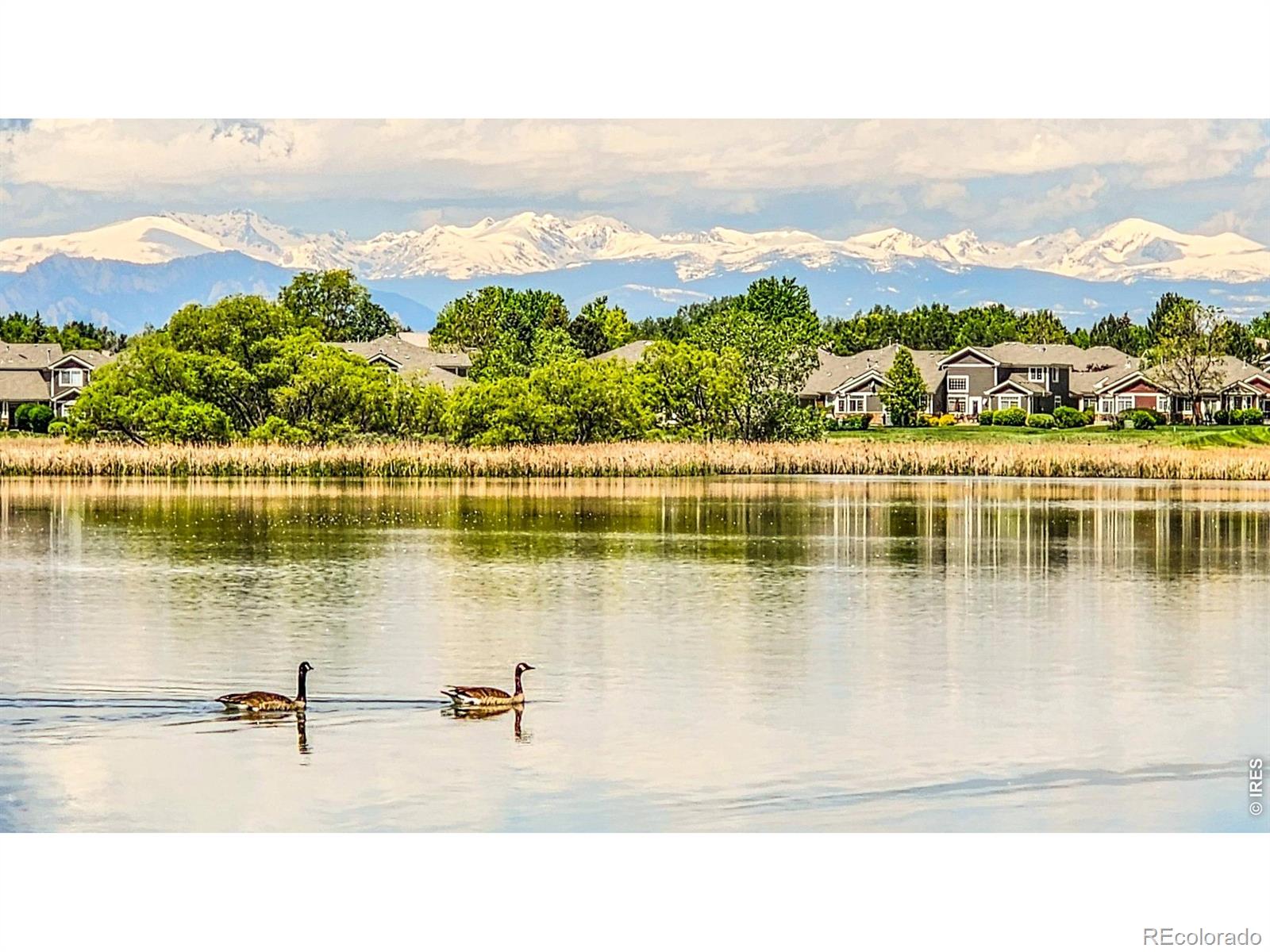 13662 Boulder Point Broomfield CO 80023