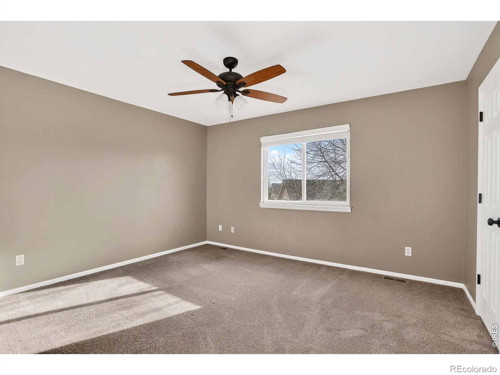896 S Tyler Avenue Loveland CO 80537