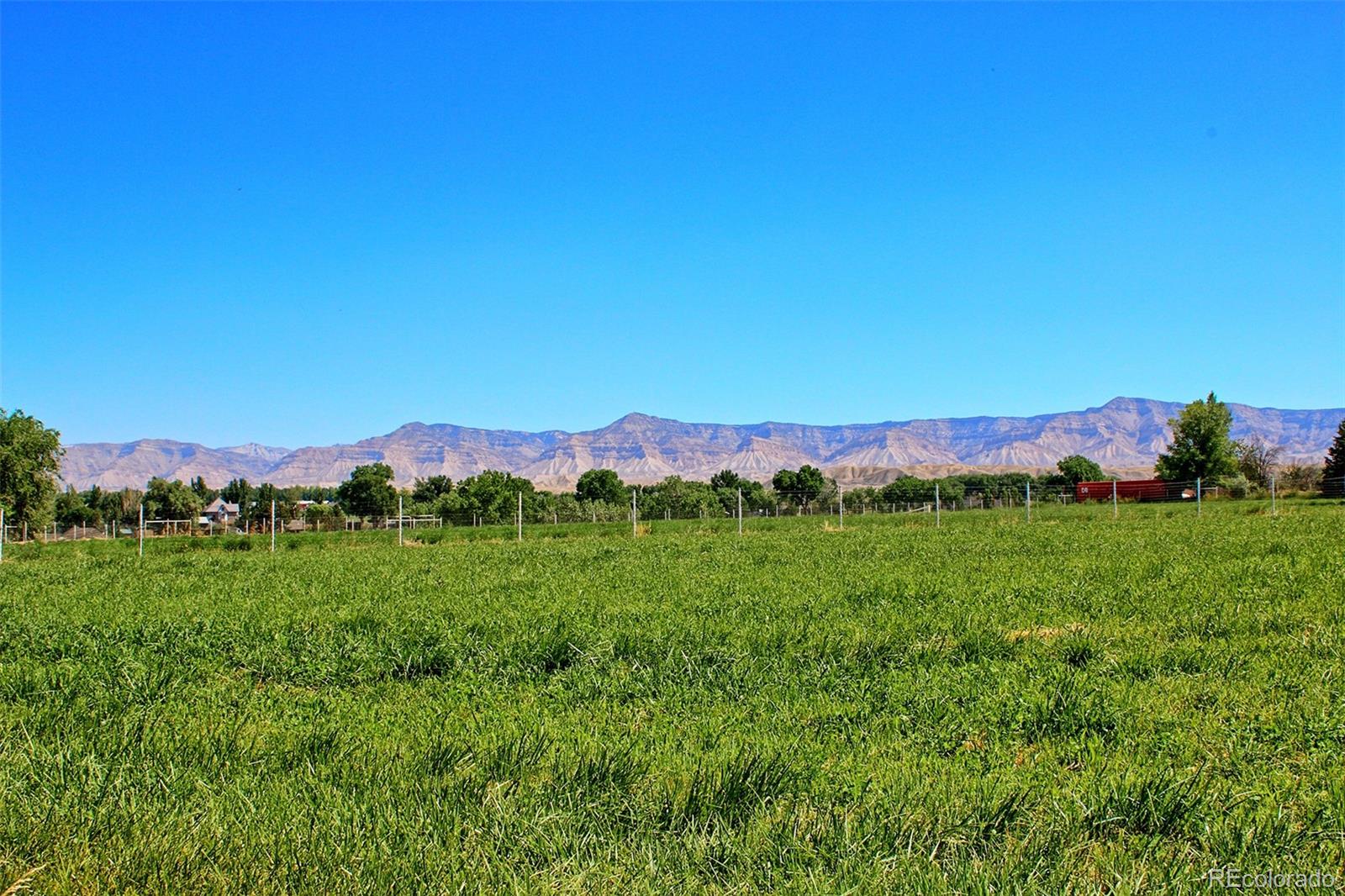 971 24 Road Grand Junction CO 81505