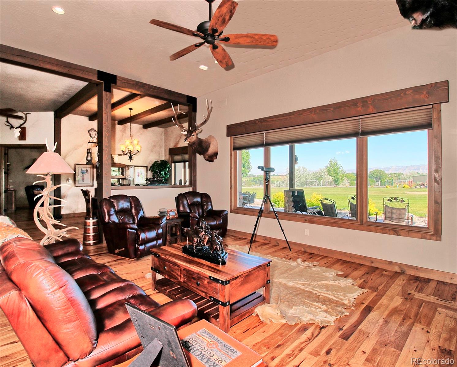 971 24 Road Grand Junction CO 81505