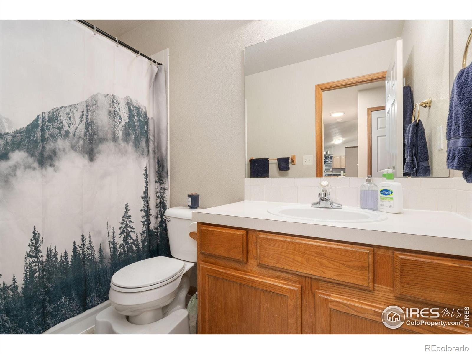 305 Amber Drive Windsor CO 80550