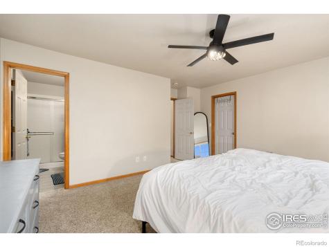 305 Amber Drive Windsor CO 80550