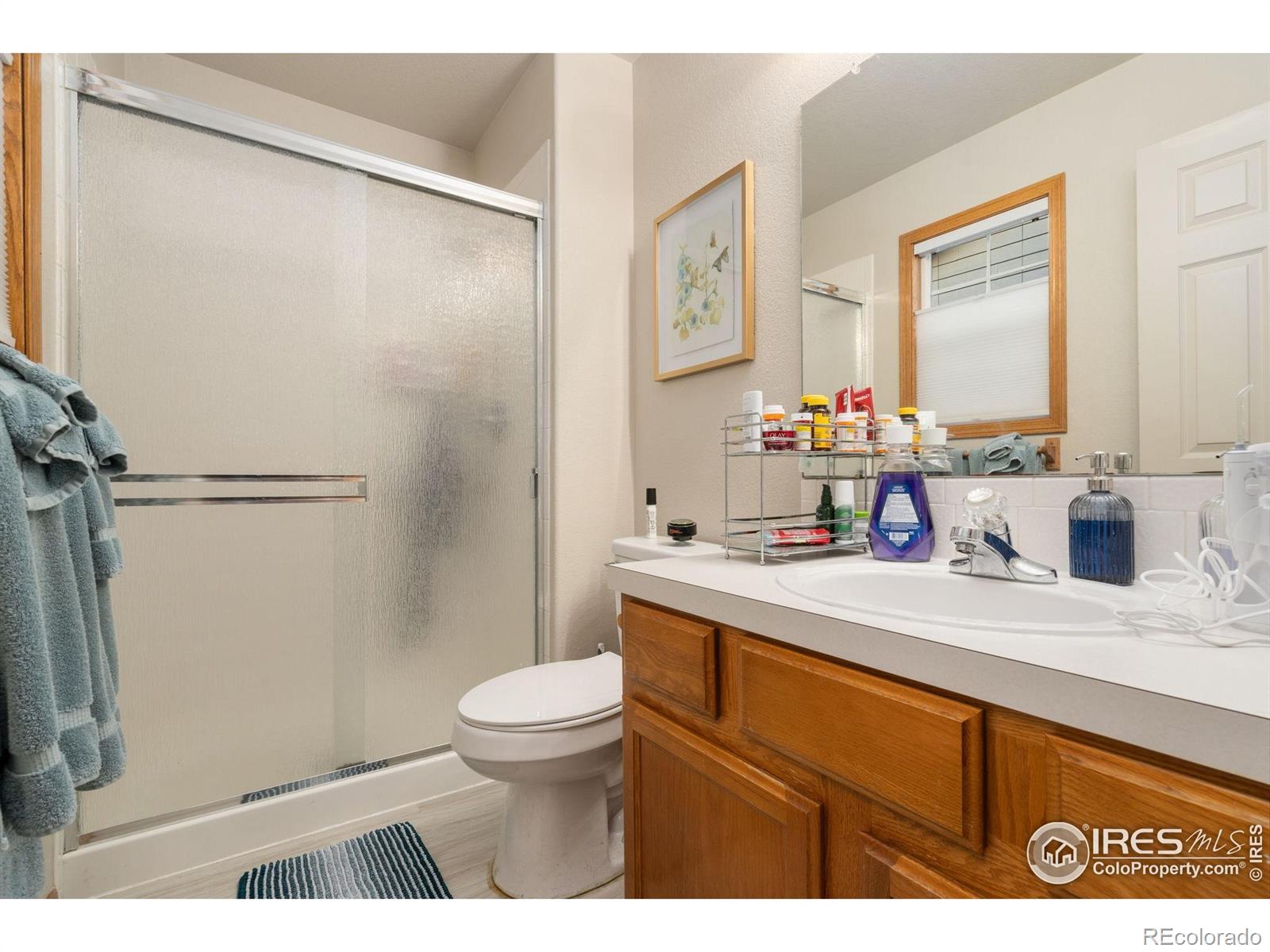 305 Amber Drive Windsor CO 80550