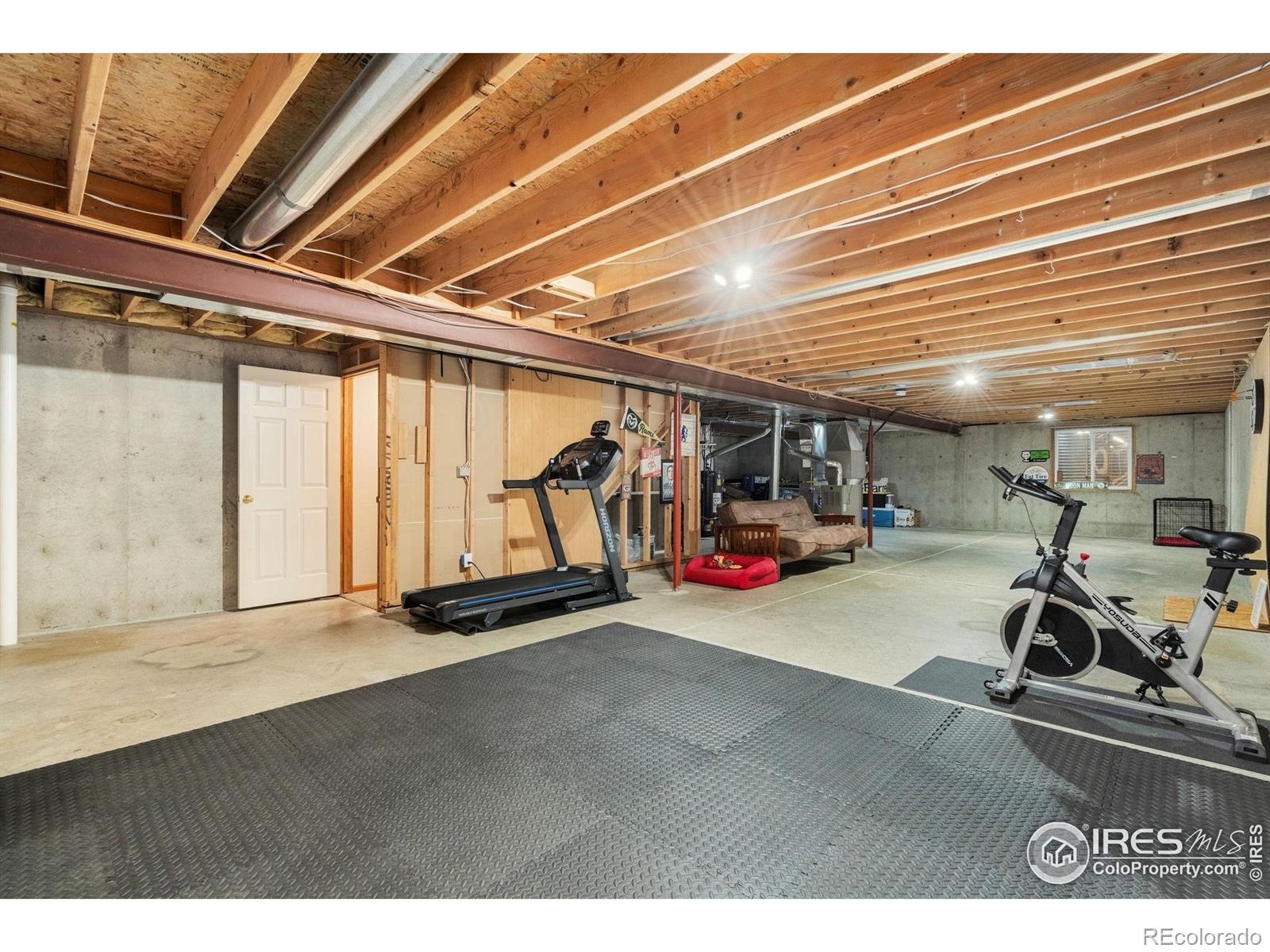305 Amber Drive Windsor CO 80550