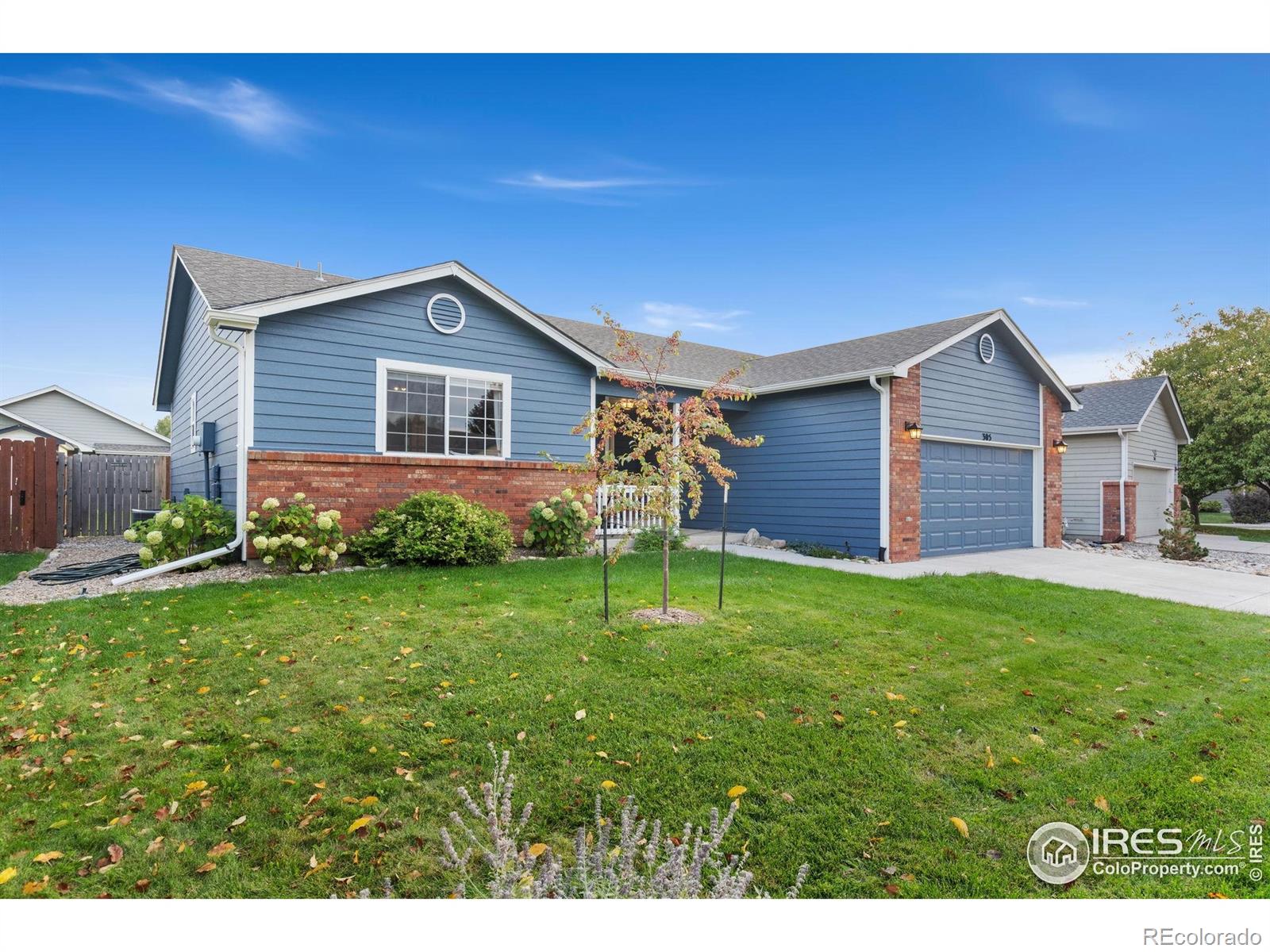 305 Amber Drive Windsor CO 80550
