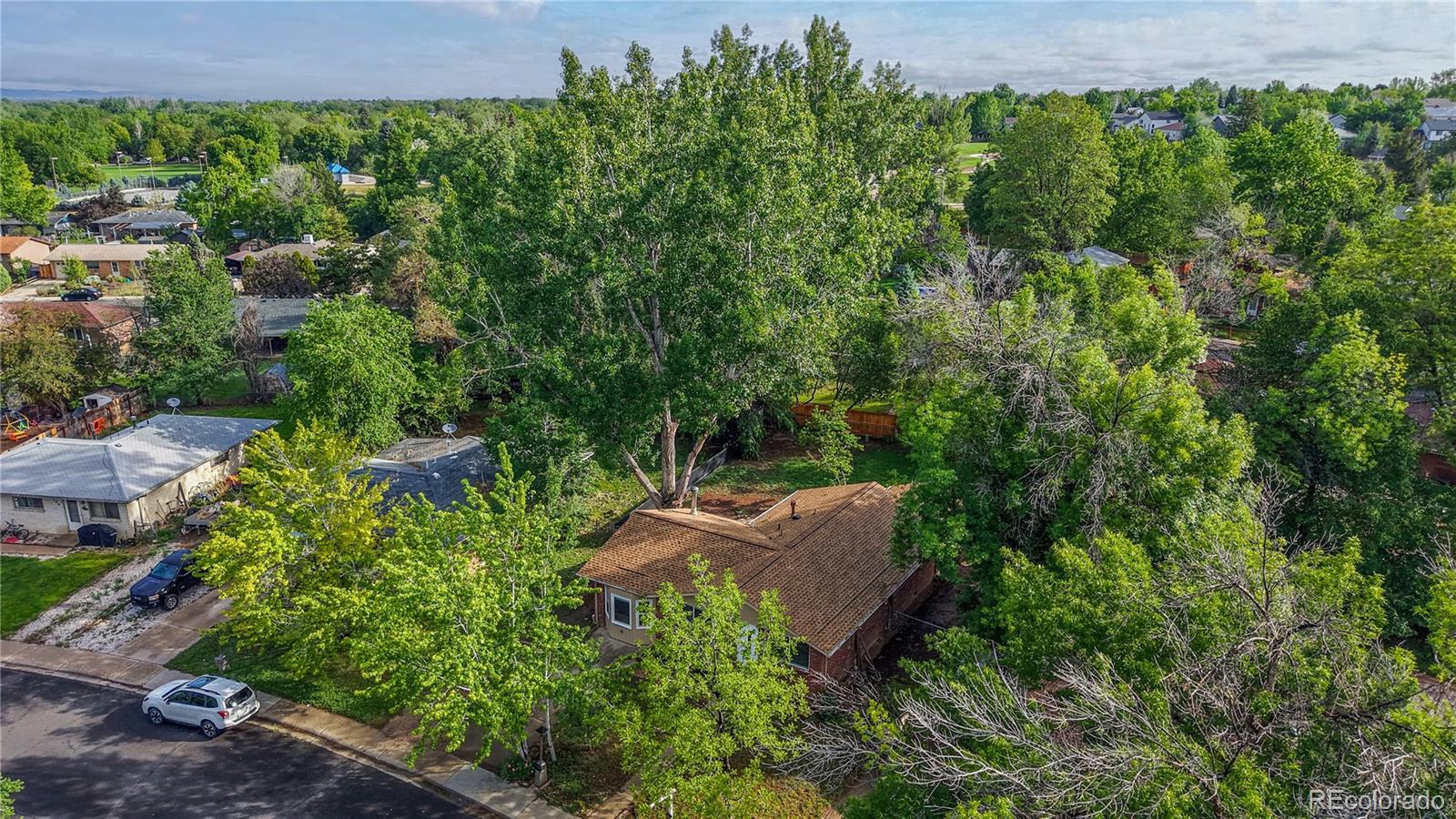 716 Goss Drive Longmont CO 80504