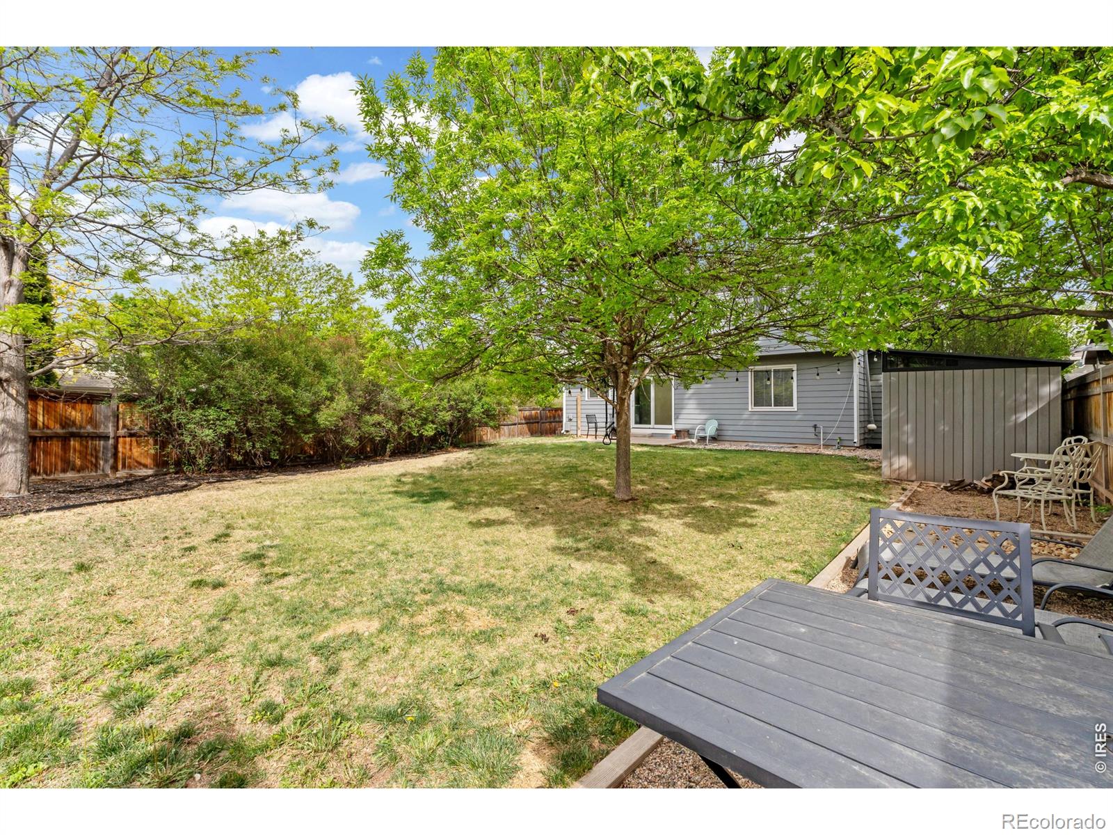 1601 Somerville Drive Fort Collins CO 80526
