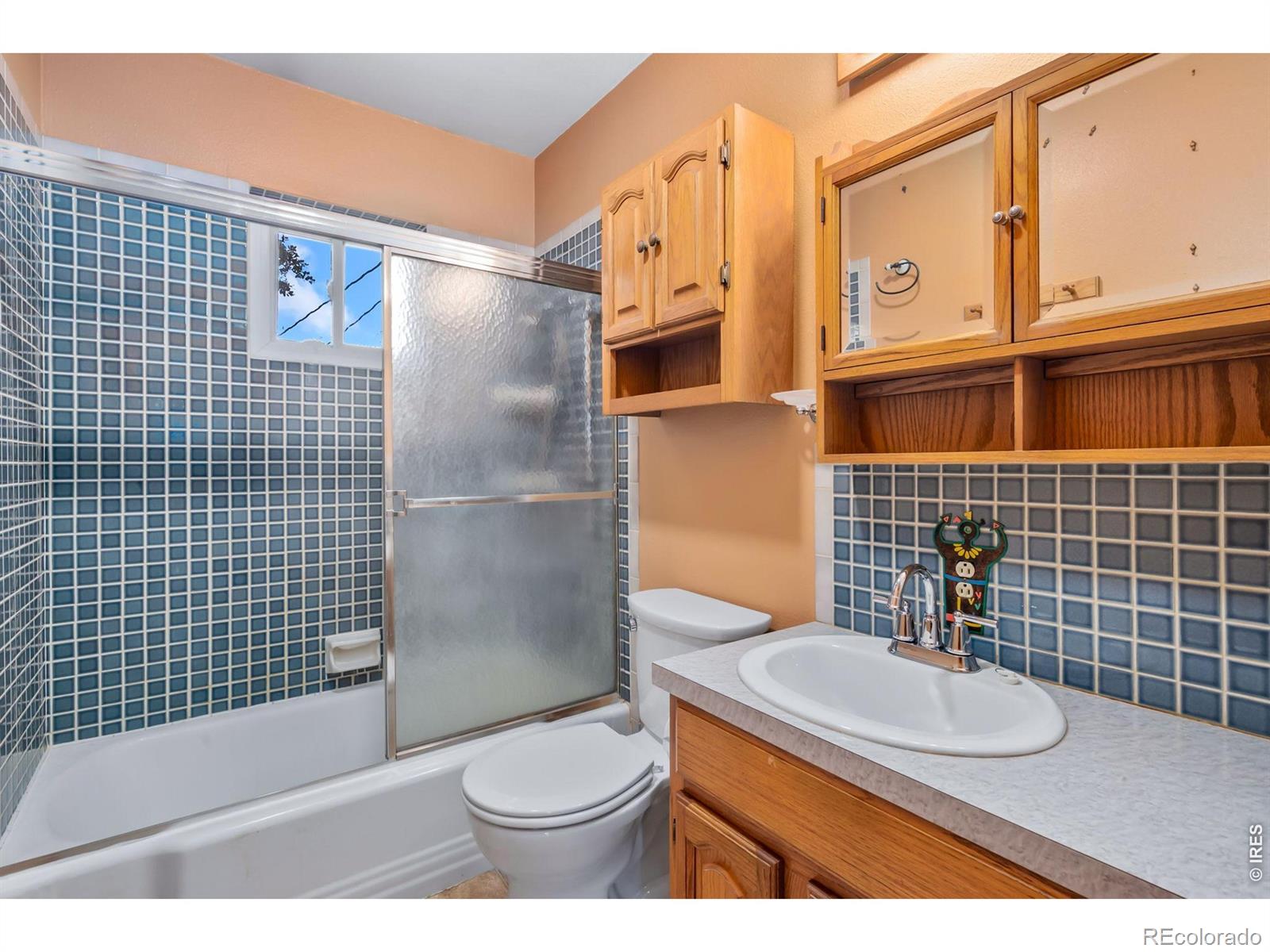 1038 Aspen Street Longmont CO 80501