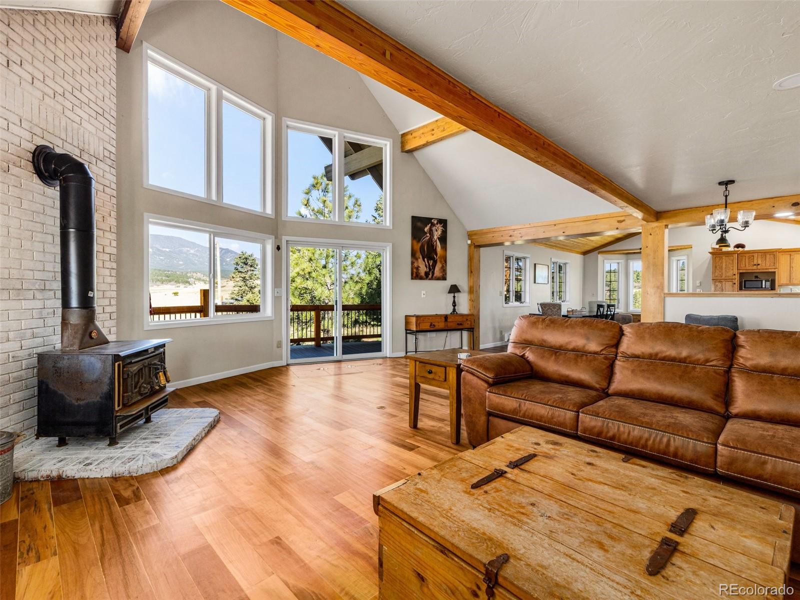 7941 Mount Baldy Drive Rye CO 81069