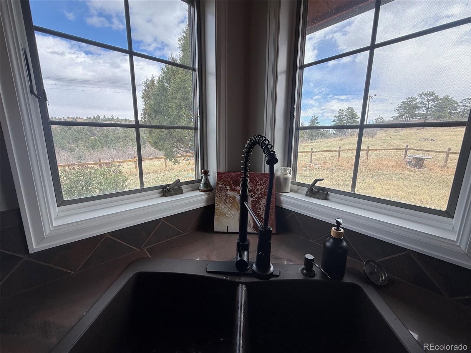 7941 Mount Baldy Drive Rye CO 81069